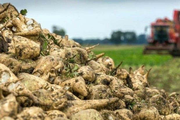 З буряком — все?