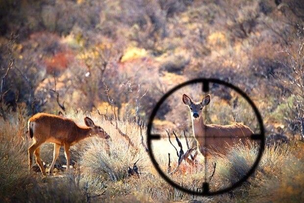 У Луцькому районі спіймали браконьєра 