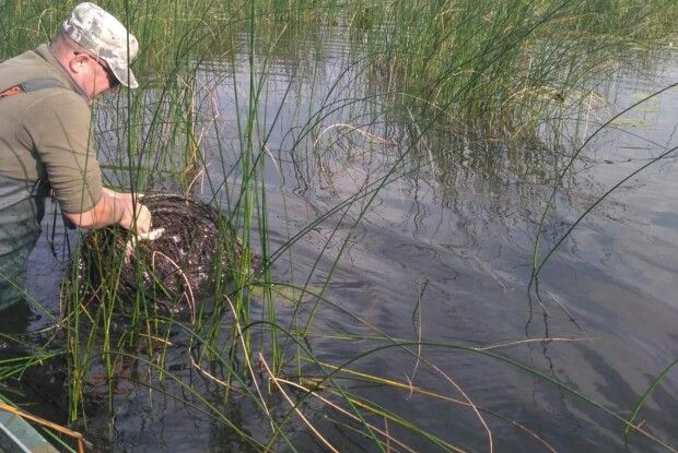 На Волині наловили рибалок-порушників