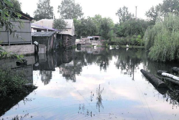 «Садок і город так залило, що ми залишилися без врожаю»