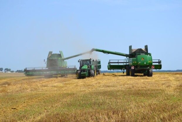 Цього року врожай пшениці в Україні гірший за торішній