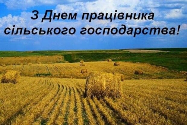 Чудова новина до свята аграріїв: українські селекціонери збільшили врожайність пшениці в 2 рази