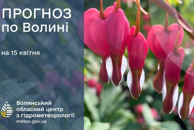 Не забудьте парасолі: на Волині вдень обіцяють дощ