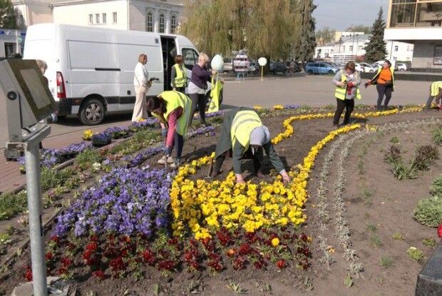 У скільки обійдеться цьогорічне озеленення вулиць Луцька