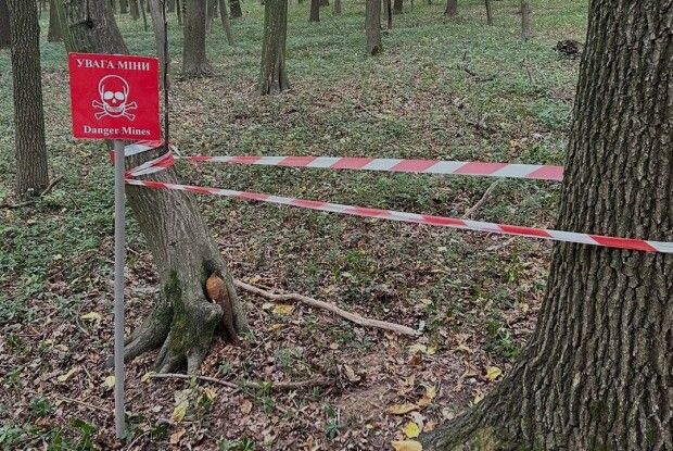 На Львівщині у лісах замість грибів знаходять снаряди