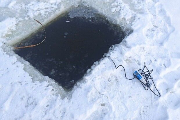 Пів сотні ополонок: у парку Луцька рятують рибу від зимової задухи (Фото)