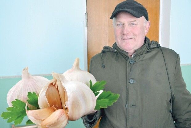 Як найкраще вирощувати часник?