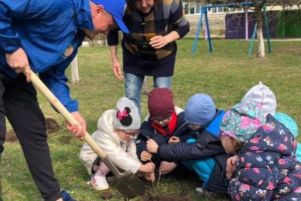 У Ковелі висадили 40 молодих лип