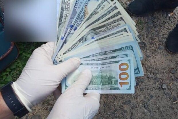 3 тисячі доларів і 50 тисяч гривень: на Волині на хабарі затримано чиновника Держекоінспекції