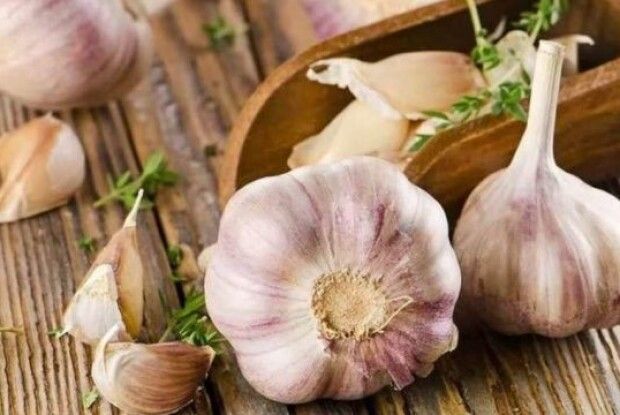 Чудодійний часник