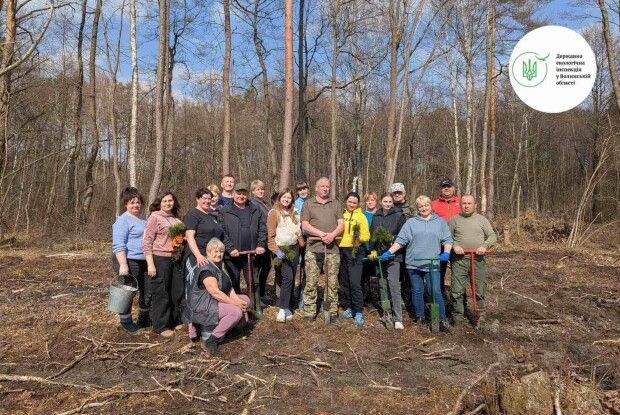 Тисячі саджанців дубів і сосен зміцнили волинські ліси