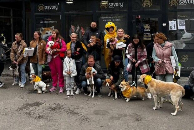 У місті на Волині влаштували змагання для чотирилапих улюбленців (Фото)