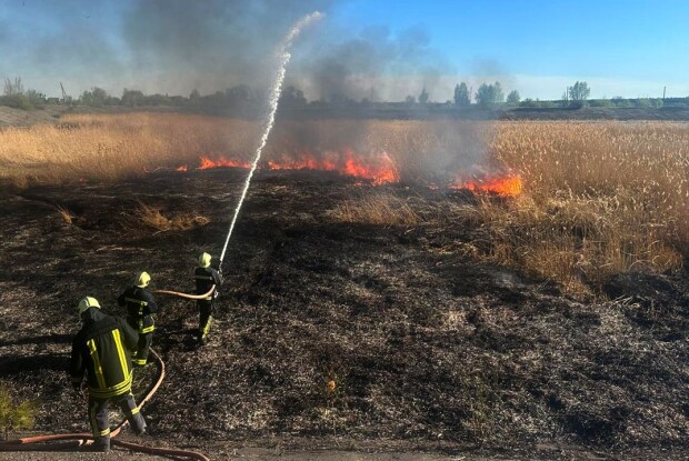 Палали чагарники та очерет: волинські вогнеборці приборкали 10 пожеж
