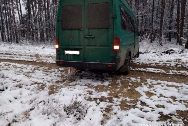 Зрубав 32 дерева: на Волині затримали першого «новорічного» порушника (Фото)