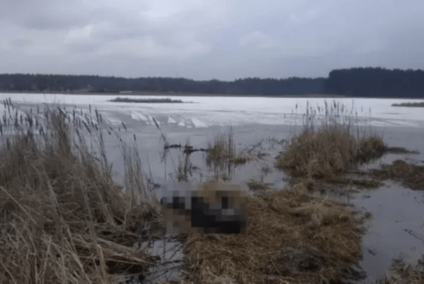 На Рівненщині знайшли тіло чоловіка, якого вважали зниклим безвісти