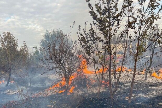 Чому поблизу обласного центру Волині валив великий дим