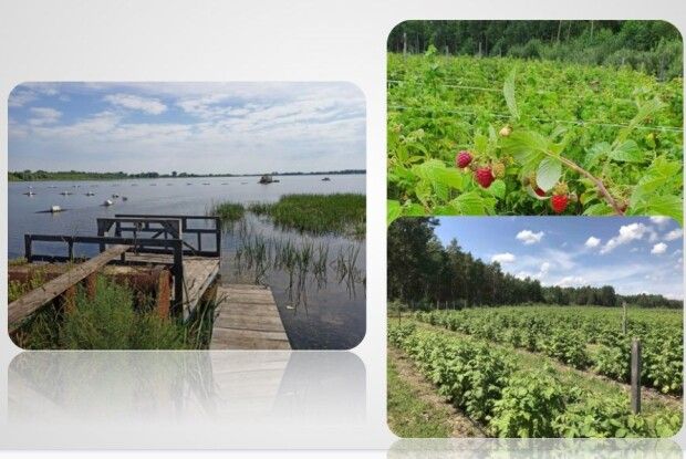 З волинського озера видобувають унікальне органічне добриво