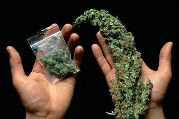 Судитимуть волинянина, який тричі збував канабіс