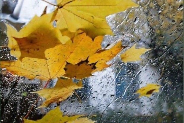 Завтра у Луцьку дощитиме і похолодає