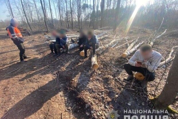 На півночі Рівненщині затримали «чорних лісорубів» (Відео)