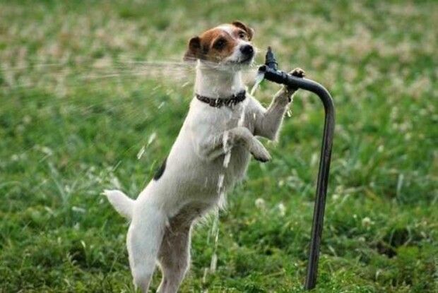 Чи варто довіряти народним прикметам про погоду?