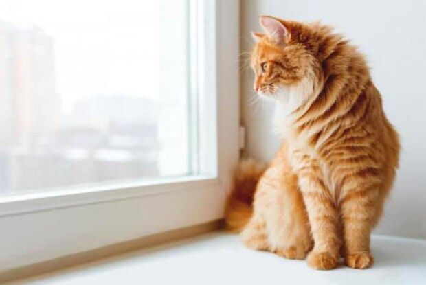 Шостий за місяць: у Луцьку знову зафіксували температурний рекорд