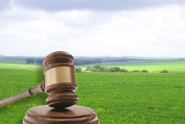 Державі повернуто землі лісового фонду вартістю майже 170 мільйонів гривень