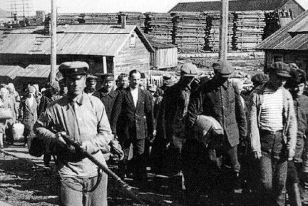 На Волині планують розпочати ексгумацію останків жертв репресій