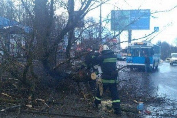 На 11-річну дівчинку впало дерево: дитина загинула