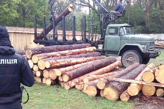 КОРД добряче «потрусив» причетних до вирубки лісу