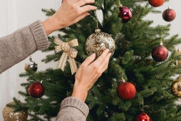 Сім’я прикрасила новорічну ялинку, а згодом знайшла у ній отруйну змію (Відео)