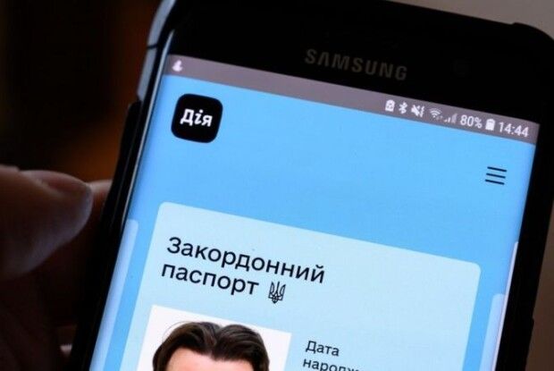 Хлопець створив фейкову «Дію». Міністр хоче направити його на виправні роботи в IT