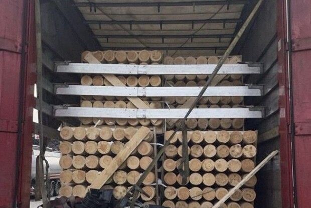 Волинські митники затримали 20 тонн деревини з порушенням митних правил (Фото)