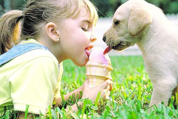 Що шкідливіше: гладити собаку чи вдихати тютюновий дим?