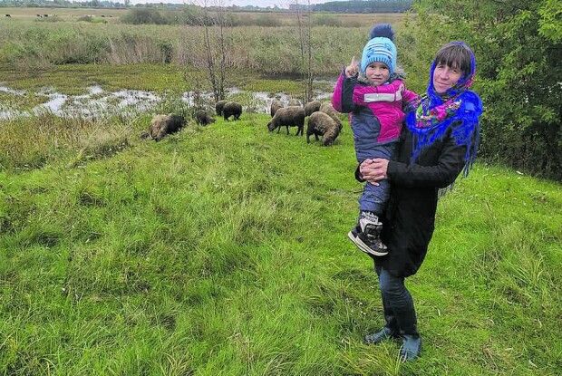 Волинянку, яка розводить овець, держава штовхає на заробітки в Італію