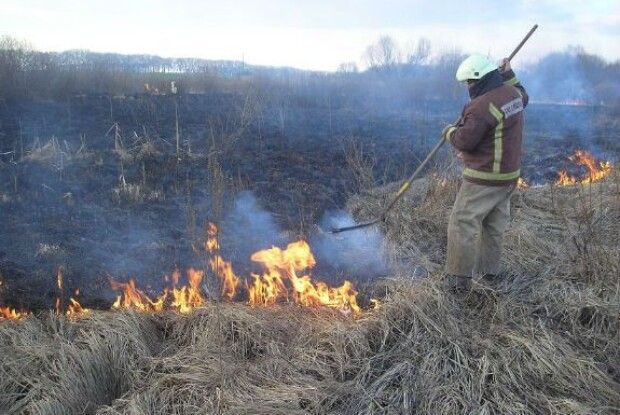 На Камінь-Каширщині виявили двох винуватців загорянь в екосистемах