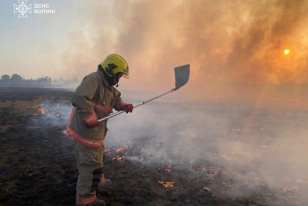Попередження не діють: на 12 волинян складено адмінпротоколи за спалювання сухостою (Відео)