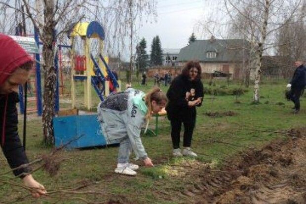 У селі під Луцьком заклали новий свер на 660 дерев (Фото)