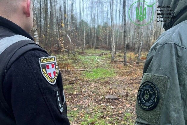 У Луцькому районі «чорні лісоруби» знищили понад 200 дерев