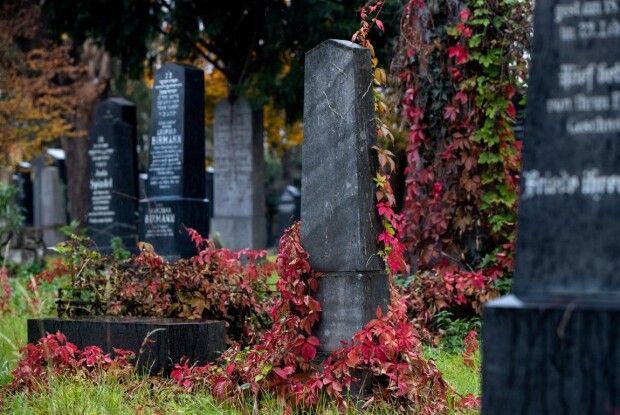 Підлітки «сходили в туалет» на пам’ятники померлих і зняли це на камеру (Відео)
