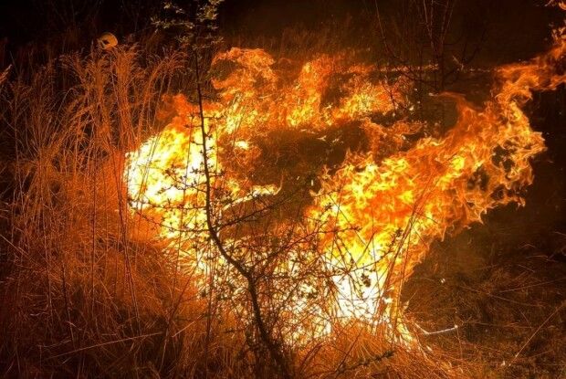 На Волині вогонь спалив хату і дійшов до кладовища