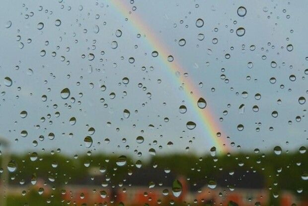 На Волині потепліє з ймовірним дощем