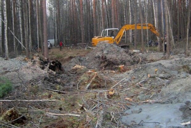 Бурштин у поліських лісах – зі знижкою 