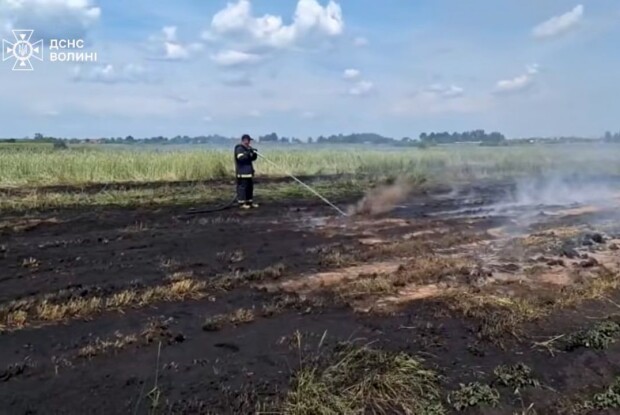 Тліє п'ятий день: у Луцькому районі гасять масштабне торфовище