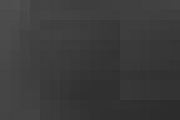 Постріл у шию: на Київщині зоокілер на замовлення вбив оленя-рекордсмена