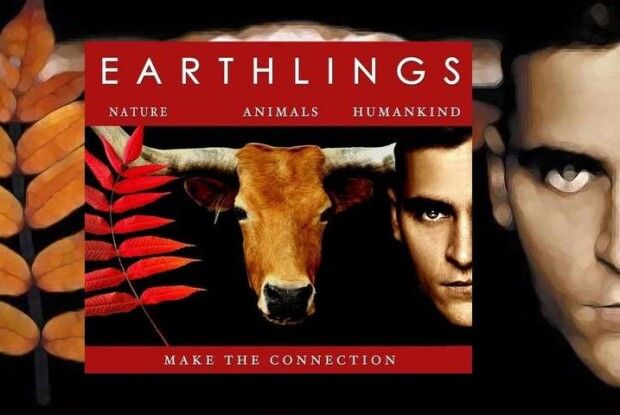 «Земляни». Про що фільм, який «рекламував» луцький терорист 