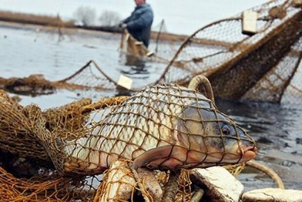 Двоє камінь-каширців наловили рибки на кримінал