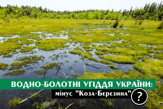 Болото або торф: на Волині підприємство може знищити унікальні угіддя