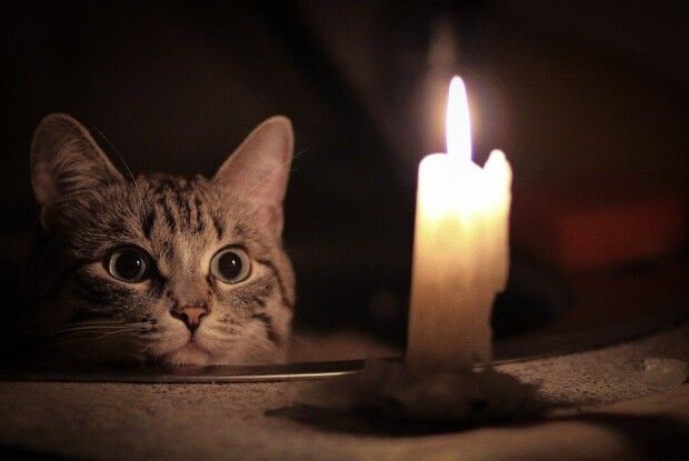 Сьогодні на Рівненщині вимикатимуть світло: графік на 8 лютого