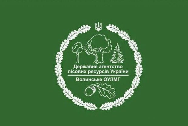 На Волині покарали лісівника за корупцію вже після звільнення